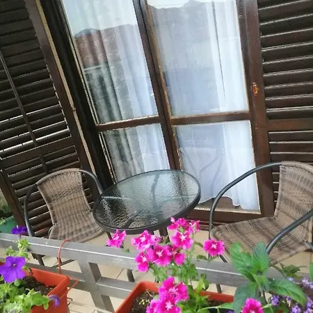 Bella